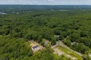 14 Fawn Run, Montague, NJ 07827 - Photo 41