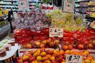 34 Mews Ln, South Orange, NJ 07079 - Photo 23
