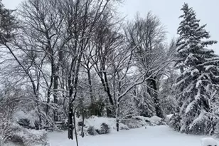 340 Central Ave, Mountainside, NJ 07092 - Photo 23