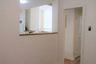 519 Trinity Pl, Westfield Town, NJ 07090 - Photo 19