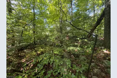 0 Ridge Rd, Jefferson Township, NJ 07438 - Photo 7