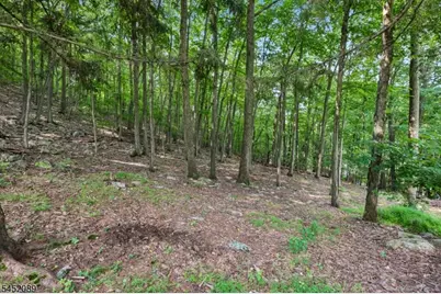 16 Zander Ln, Randolph Township, NJ 07869 - Photo 33