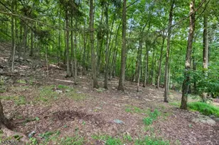 16 Zander Ln, Randolph Township, NJ 07869 - Photo 33