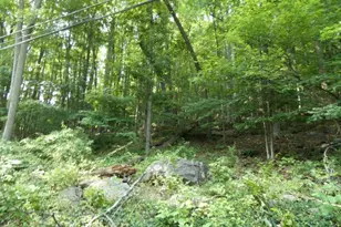 20 Sawmill Rd, Tewksbury Township, NJ 08833 - Photo 1