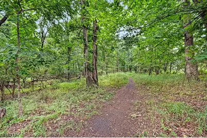 45 Bond St, Bridgewater, NJ 08807 - Photo 29