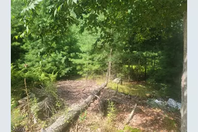 356 Rolling Ridge Rd, Montague, NJ 07827 - Photo 3