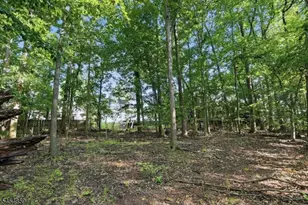 17 Blake Dr, Clark Township, NJ 07066 - Photo 47