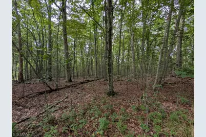 00 Anne Rd, Stillwater, NJ 07860 - Photo 3