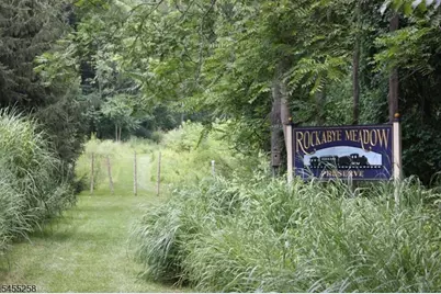 6 Bodine Ave, Peapack Gladstone Boro, NJ 07934 - Photo 37
