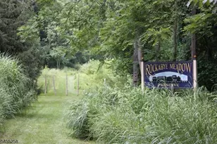 6 Bodine Ave, Peapack Gladstone Boro, NJ 07934 - Photo 37