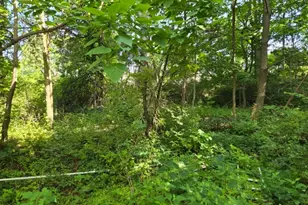 2 Hewlett Rd, Montville Township, NJ 07082 - Photo 1