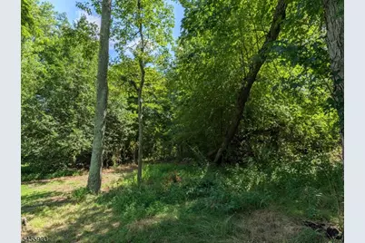 425 Julius Pemberton Rd, Springfield Twp., NJ 08068 - Photo 5