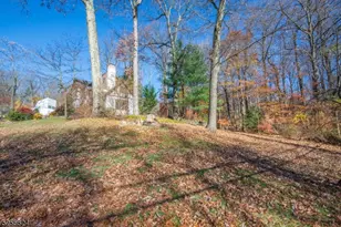 21 N Glen Rd, Mountain Lakes, NJ 07046 - Photo 35