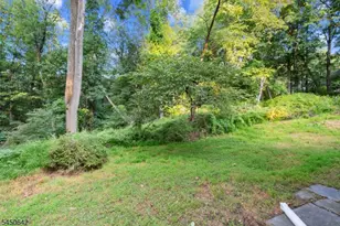 14 Stoney Hill Rd, Mendham Township, NJ 07926 - Photo 27