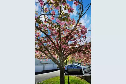 99 Birchwood Road Ondo #99, Bedminster Township, NJ 07921 - Photo 17