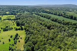 21 Frontage Rd, Blairstown Township, NJ 07825 - Photo 47