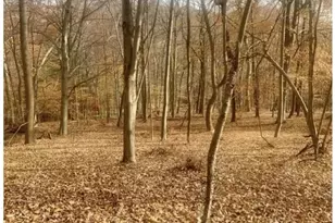 85 Cherryville Hollow Rd, Raritan Township, NJ 08822 - Photo 1