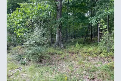 0 Owassa Rd, Stillwater, NJ 07860 - Photo 5