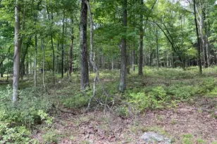 0 Owassa Rd, Stillwater, NJ 07860 - Photo 1