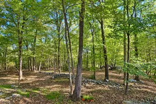2 Continental Dr, Sparta Township, NJ 07871 - Photo 31
