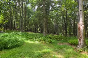 29 Millville Rd, Montague, NJ 07827 - Photo 21