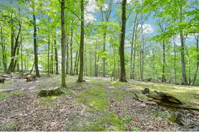 51 Paulinskill Lake Rd, Fredon Township, NJ 07860 - Photo 1