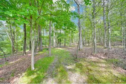 51 Paulinskill Lake Rd, Fredon Township, NJ 07860 - Photo 3