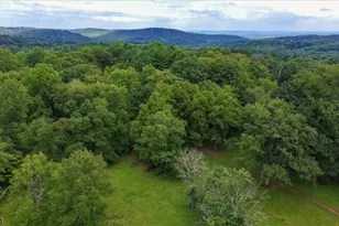 1102 Califon Cokesbury Rd, Tewksbury Township, NJ 08833 - Photo 1