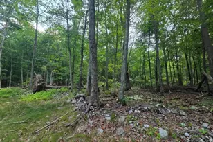 4 High Point Dr, Montague, NJ 07827 - Photo 1
