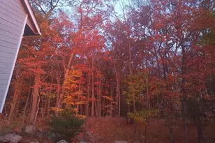 40 Old Boonton Rd, Denville, NJ 07834 - Photo 45