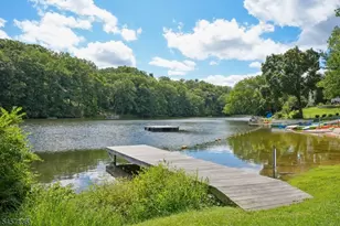 22 Lake Trail, Harding Township, NJ 07960 - Photo 49