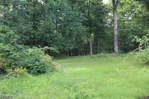 24 Hillside Rd, Rockaway Township, NJ 07866 - Photo 11