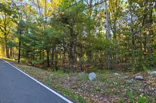 0 Hotalen Rd, Sandyston Township, NJ 07826 - Photo 1
