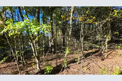 0 Hotalen Rd, Sandyston Township, NJ 07826 - Photo 3