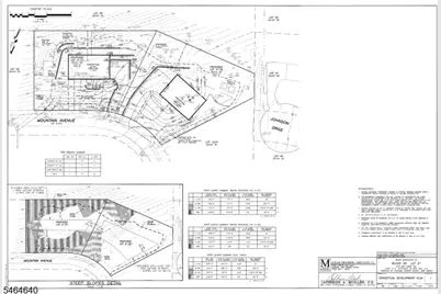 50 Mountain Ave, Chatham Township, NJ 07928 - Photo 5