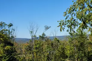 68 Silver Lake Rd, Frelinghuysen Township, NJ 07825 - Photo 3