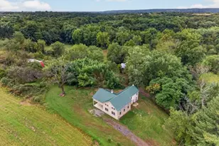 1599 County Road 519, Alexandria Township, NJ 08825 - Photo 43