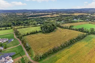 1599 County Road 519, Alexandria Township, NJ 08825 - Photo 45
