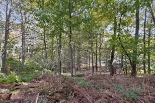 48 Lebanon Rd, West Milford, NJ 07421 - Photo 23