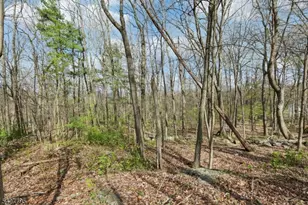 11 Alamoosook Rd, Vernon, NJ 07422 - Photo 7