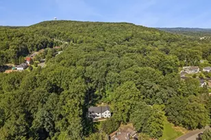 51 Dogwood Rd, Morris Plains, NJ 07950 - Photo 29