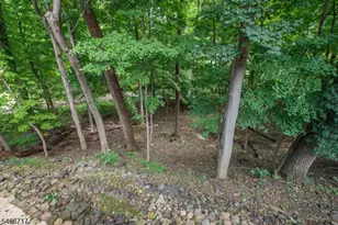 58 Orton Rd, West Caldwell, NJ 07006 - Photo 25