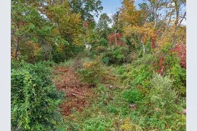 295 County Road 519, Kingwood Township, NJ 08559 - Photo 41