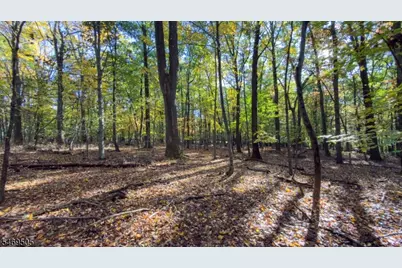 37 Lt Hooper Rd, Alexandria Township, NJ 08848 - Photo 3