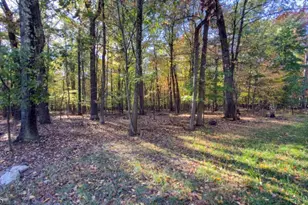 37 Lt Hooper Rd, Alexandria Township, NJ 08848 - Photo 1