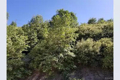 00987 Elder Drive, Cedar Glen, CA 92321 - Photo 3