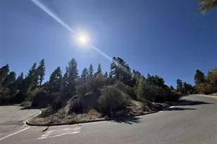 40645 Ironwood Dr, Big Bear Lake, CA 92315 - Photo 1