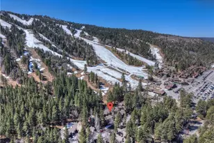 41935 Switzerland, Big Bear Lake, CA 92315 - Photo 3