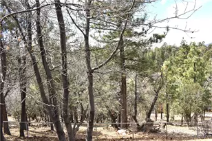 442 Inyo Ave, Sugarloaf, CA 92386 - Photo 33