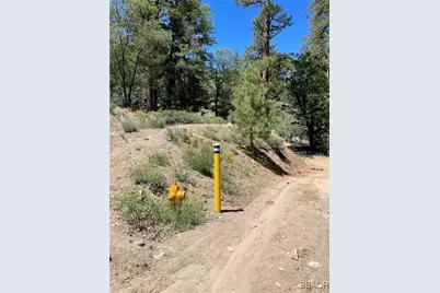 1286 Fawnskin Dr. Road, Fawnskin, CA 92333 - Photo 11